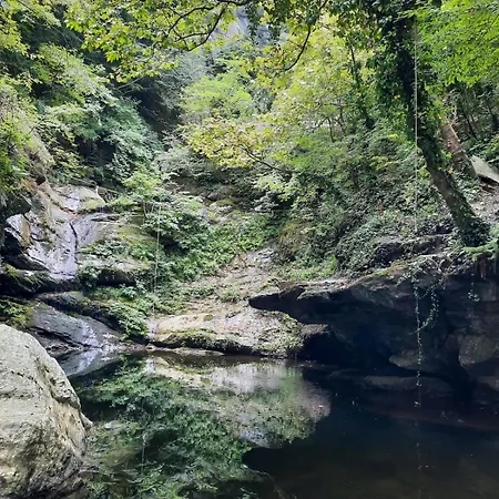 Apartman Haus Andreas *